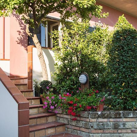 Iscairia Country House Ascea Εξωτερικό φωτογραφία
