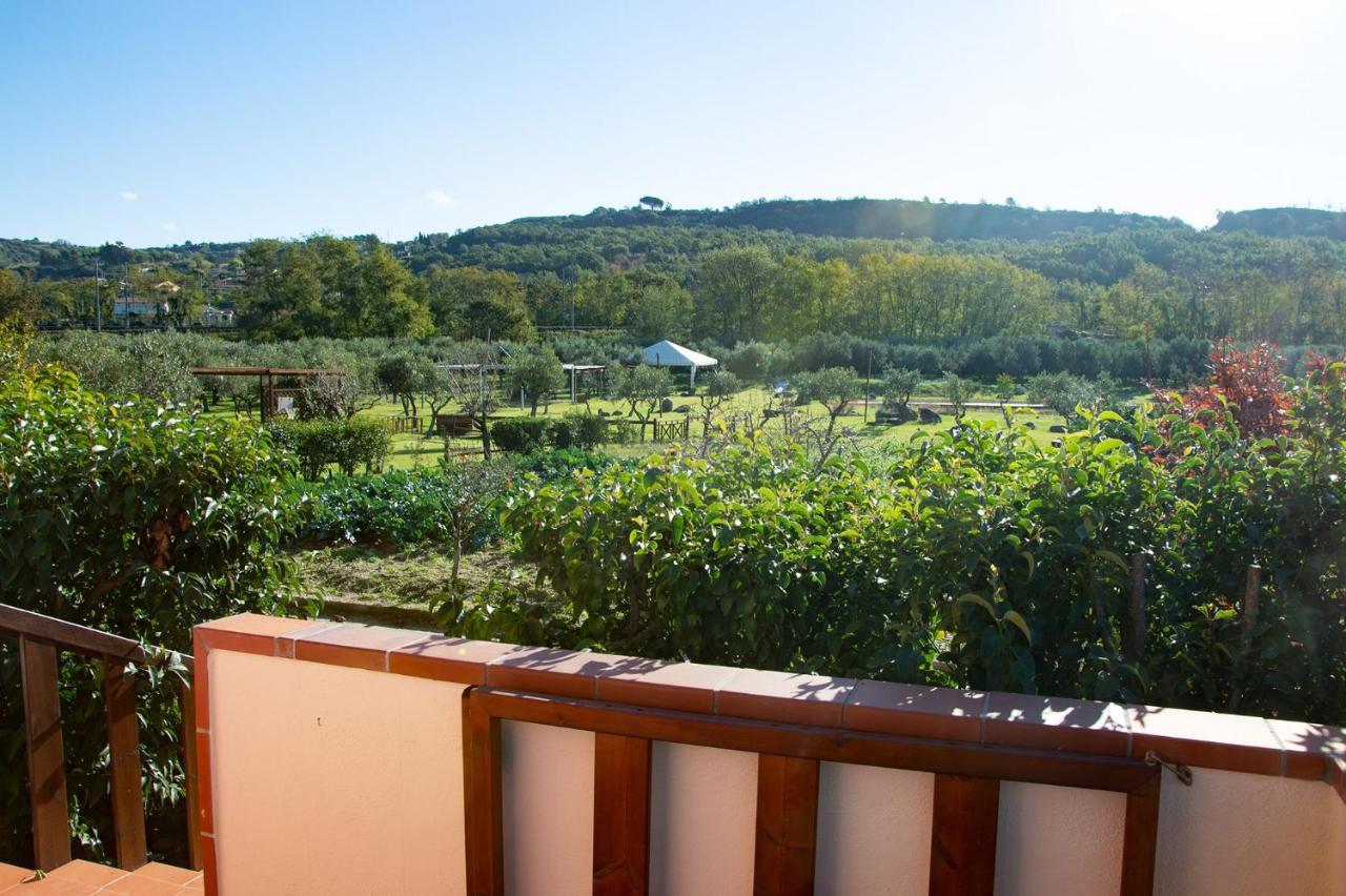 Iscairia Country House Ascea Εξωτερικό φωτογραφία